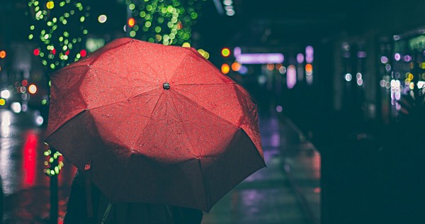 Article : Mon parapluie, mon compagnon…