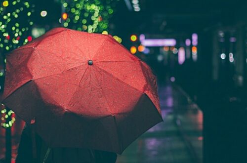 Article : Mon parapluie, mon compagnon…